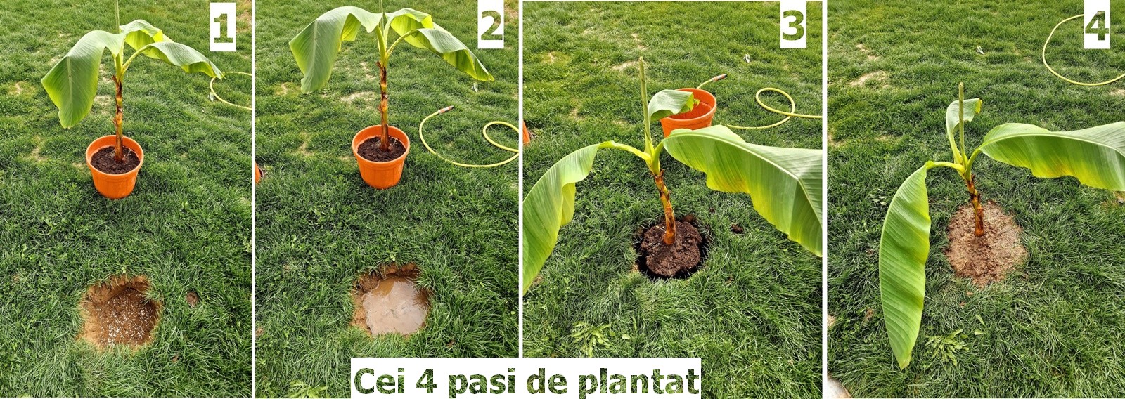 485796701_122197166162161886_2818960000997003955_n