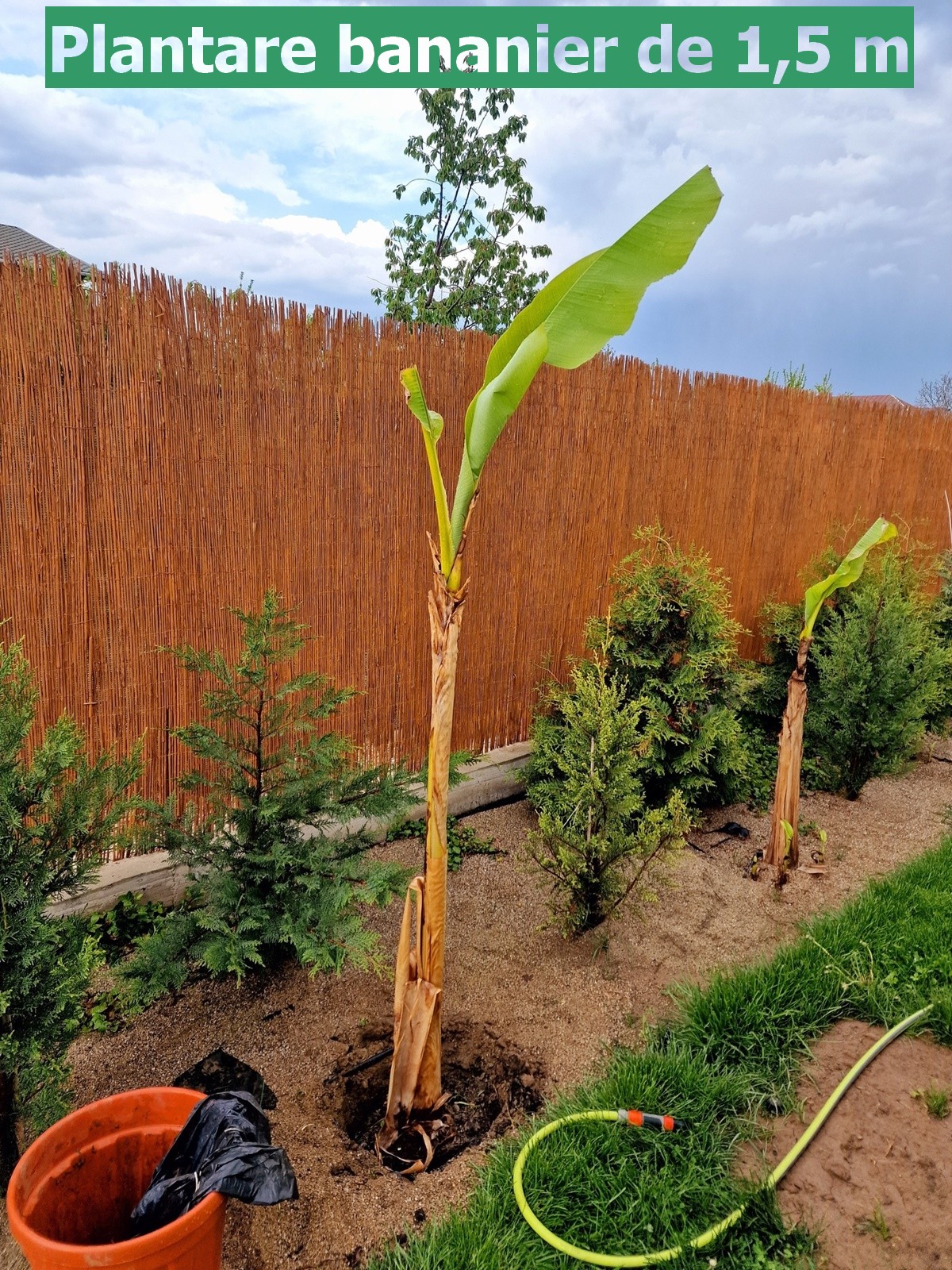 494504051_122204101874161886_2050657442396758655_n